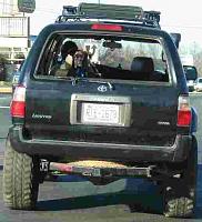 Pics Finally-truck1.jpg