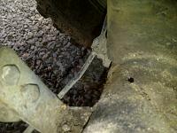 carnage pics-port-moody-20120525-00258.jpg