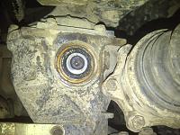 carnage pics-img-20121022-00773.jpg