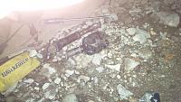carnage pics-img_00000226.jpg