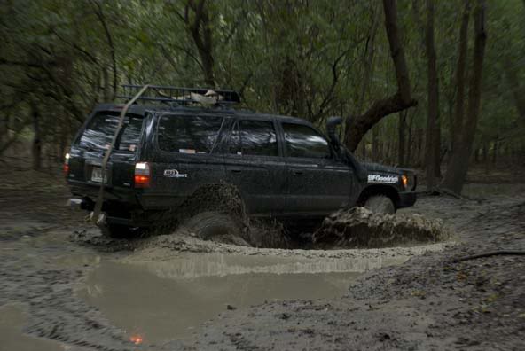 Name:  DSC_5064.jpg
Views: 994
Size:  32.6 KB