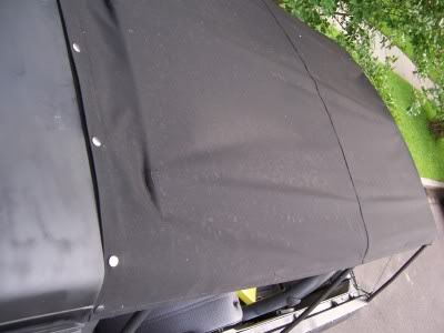Name:  canopy3.jpg
Views: 2954
Size:  20.4 KB