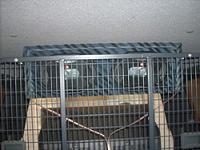 Rear Speaker Wiring advice wanted...-my-4runner-007.jpg