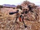 Sniper.exe's Avatar