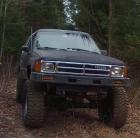 Crocodile Andy's Avatar