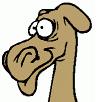 Camel's Avatar