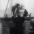 variousdog's Avatar