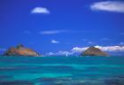 hawaii1's Avatar