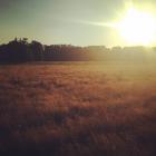 squeaker_79's Avatar