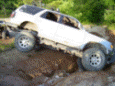 ARB4Runner's Avatar