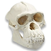 a7xdethbat's Avatar