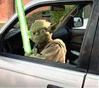 Yoda4Runnin's Avatar