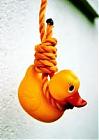 mudduck's Avatar
