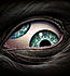 .Enigma.'s Avatar