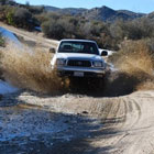 International Felon's Avatar