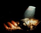 darkwaterdiver's Avatar