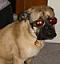 wishmaster22's Avatar