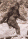 newheeler's Avatar