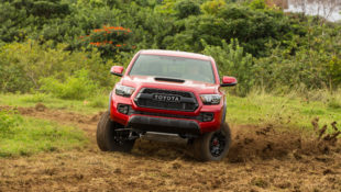 Toyota Truck