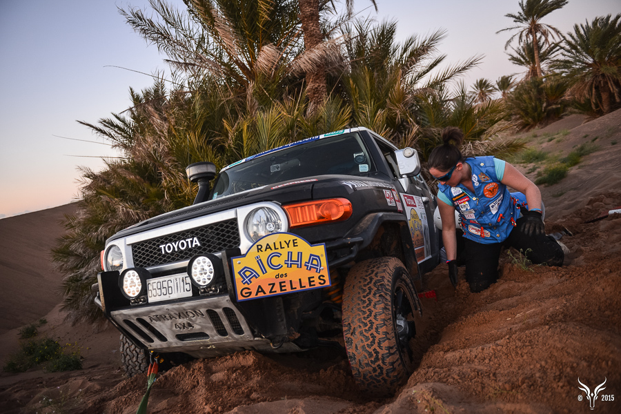 Rally of Gazelles