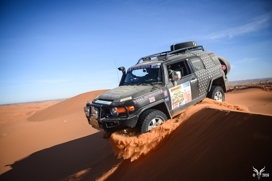 Rally of Gazelles