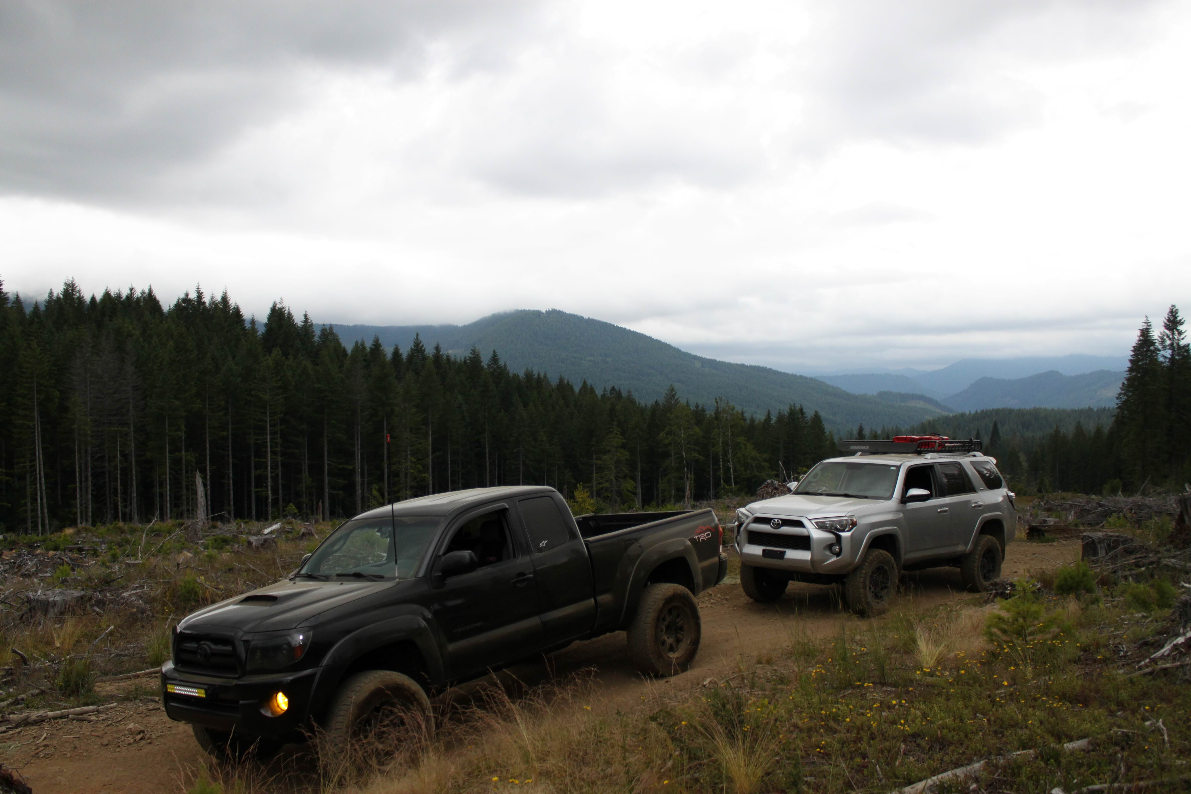 Toyota Tacoma TRD & Toyota 4Runner
