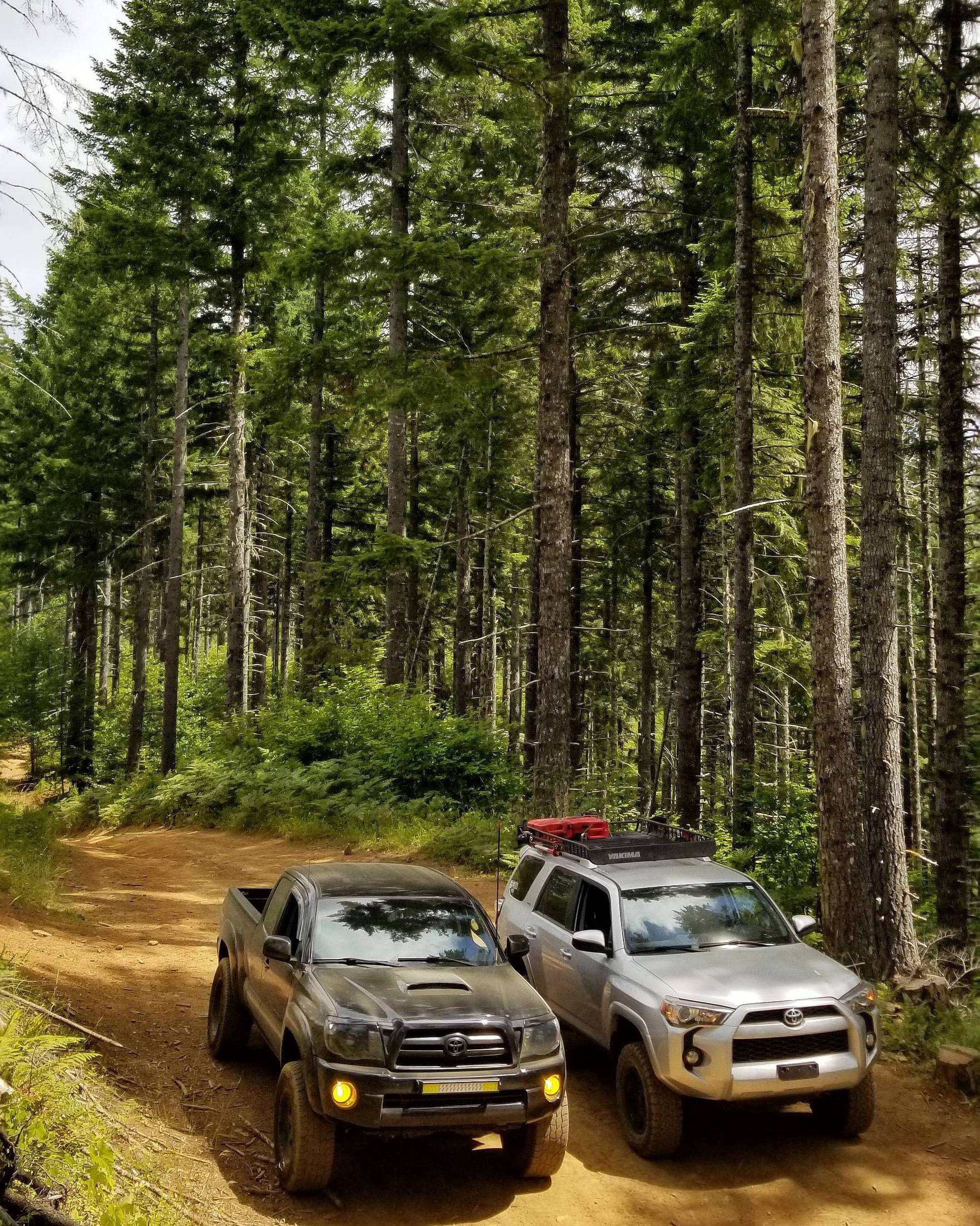 Toyota Tacoma TRD & Toyota 4Runner
