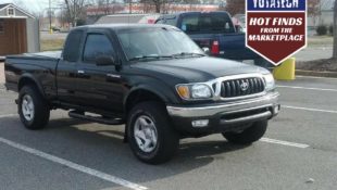 Oh, Deer! Toyota Tacoma Wreck Creates Great Opportunity