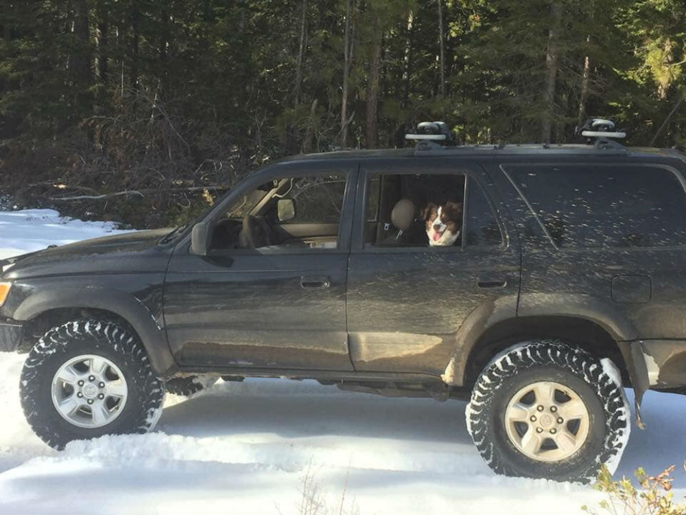 Taco Sauce Toyota