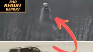 Land Cruiser sand dune