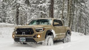 2018 Quicksand color Toyota Tacoma in the snow