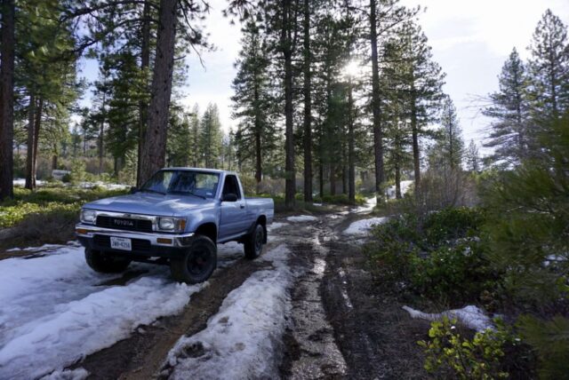 Yota
