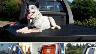 ’94 Toyota Truck Flatbed Build: Now, This is How It’s Done!