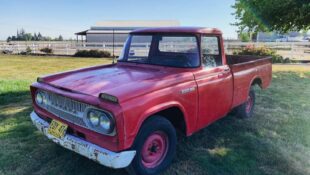 Toyota Stout for sale