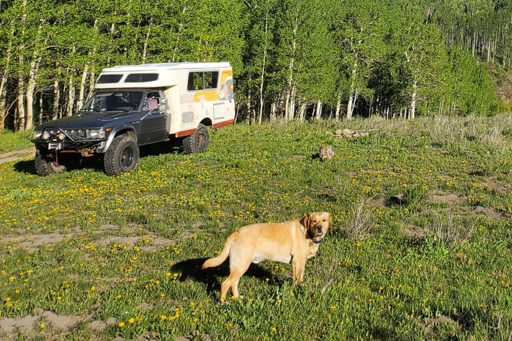 Toyota Chinook 4x4