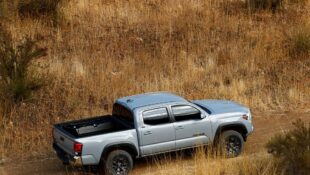 Toyota Tacoma Sales