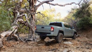 Tacoma on the trail
