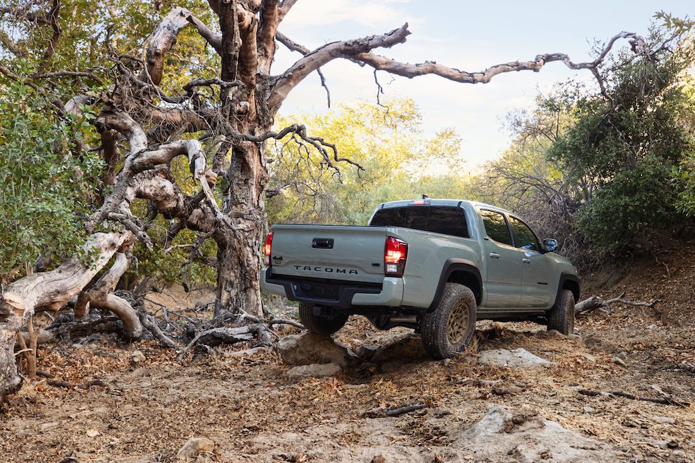Tacoma on the trail