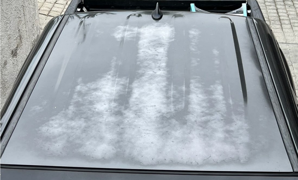 Tundra Lawsuit image
